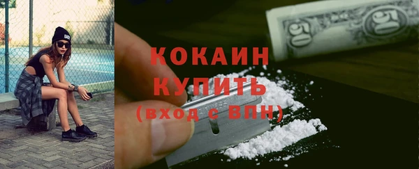 индика Балахна