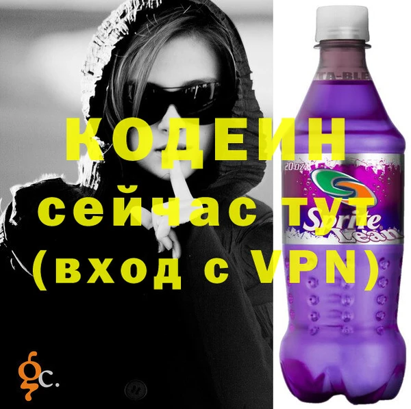 индика Балахна