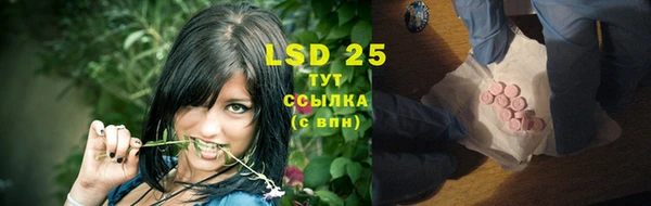 индика Балахна