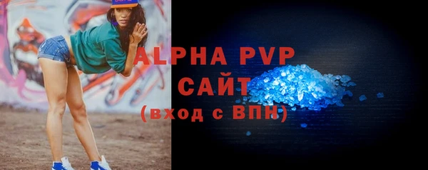 индика Балахна
