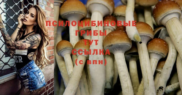 соль курить ск Баксан