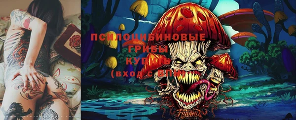 индика Балахна