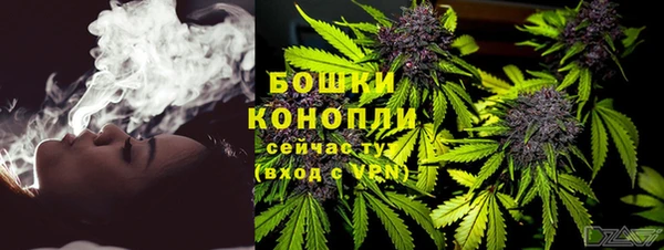 индика Балахна