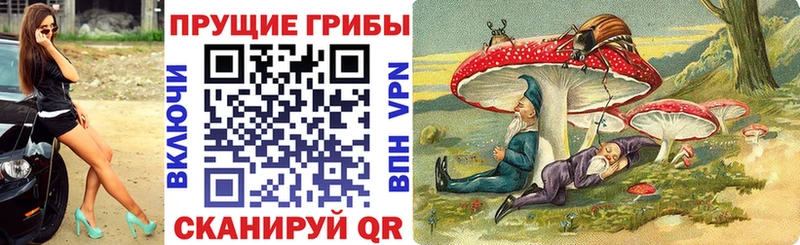дарнет шоп Пересвет Псилоцибиновые грибы мухоморы